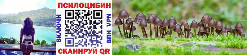 мориарти состав  Чайковский  Псилоцибиновые грибы Cubensis 