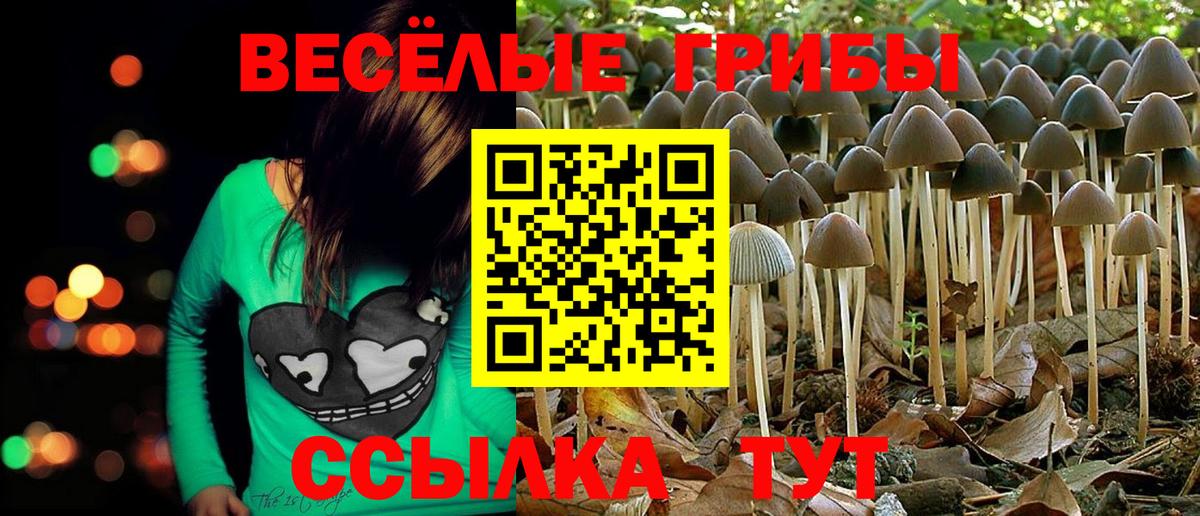 Псилоцибиновые грибы мухоморы Чайковский