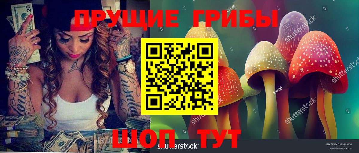 Чайковский  Псилоцибиновые грибы Cubensis  Вход с VPN 